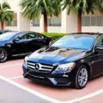 Why-More-People-Are-Choosing-Monthly-Car-Rentals-in-Dubai